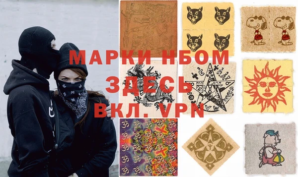 гидра Ачинск