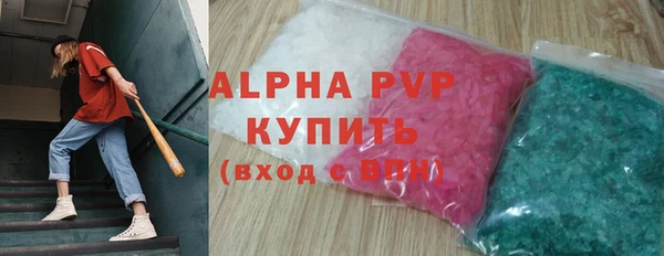 гидра Ачинск