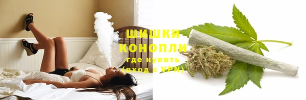хмурый Бердск