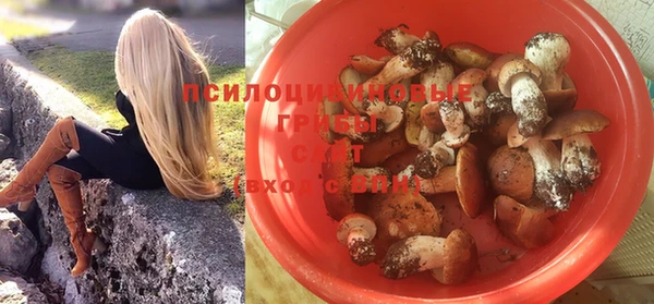 бутират Надым