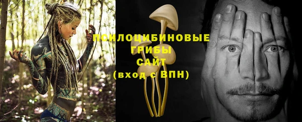 бутират Надым