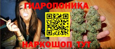 прущие крисы Пенза