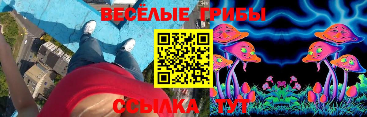 Нурлат  Псилоцибиновые грибы GOLDEN TEACHER  Галлюциногенные грибы MAGIC MUSHROOMS  Вход с VPN 
